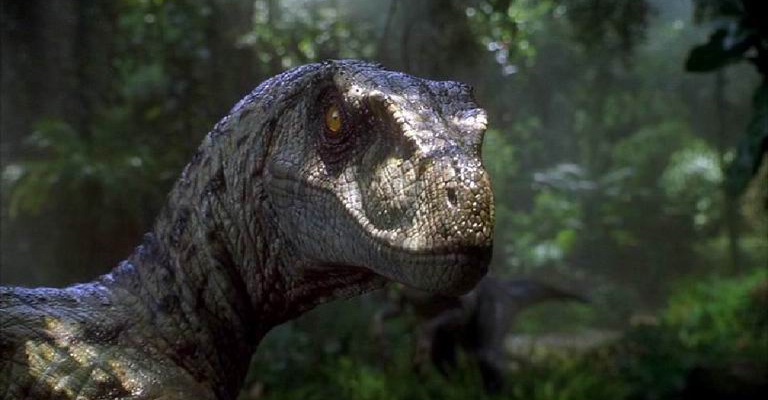 raptor.jpg